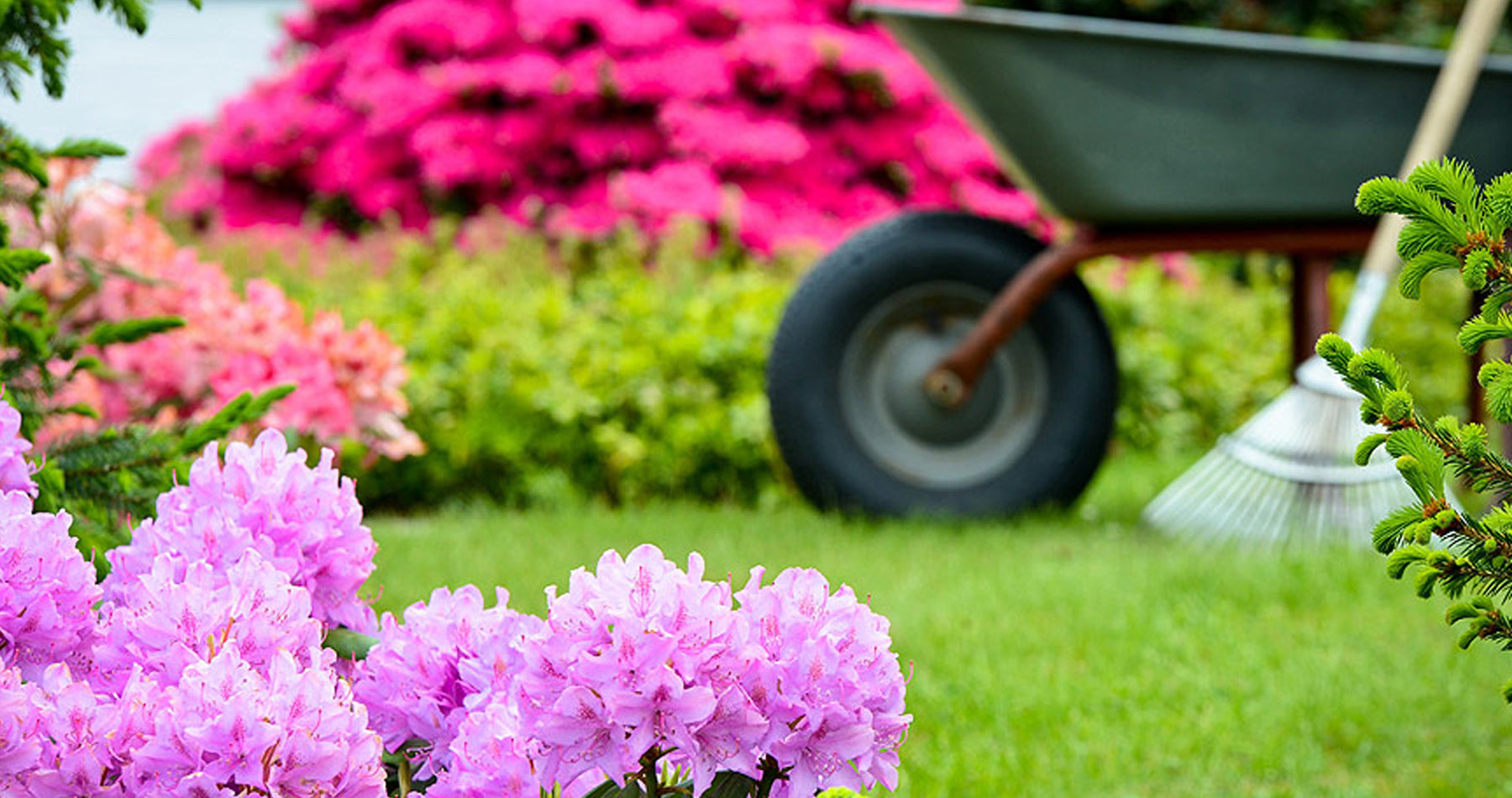 Cubag's Winter Maintenance Gardening Guide 2016