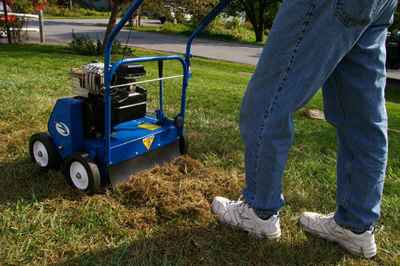 Dethatching your Lawn