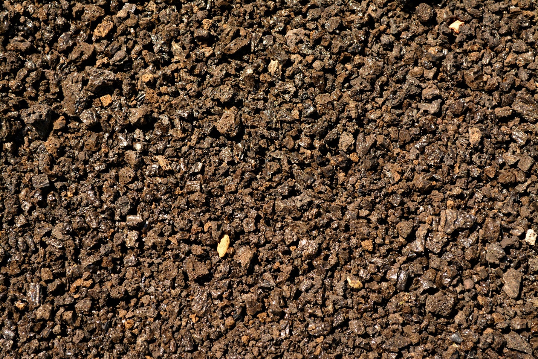 Discover Garden Excellence with Cubag's Superior Lawn Soil Blends in NZ