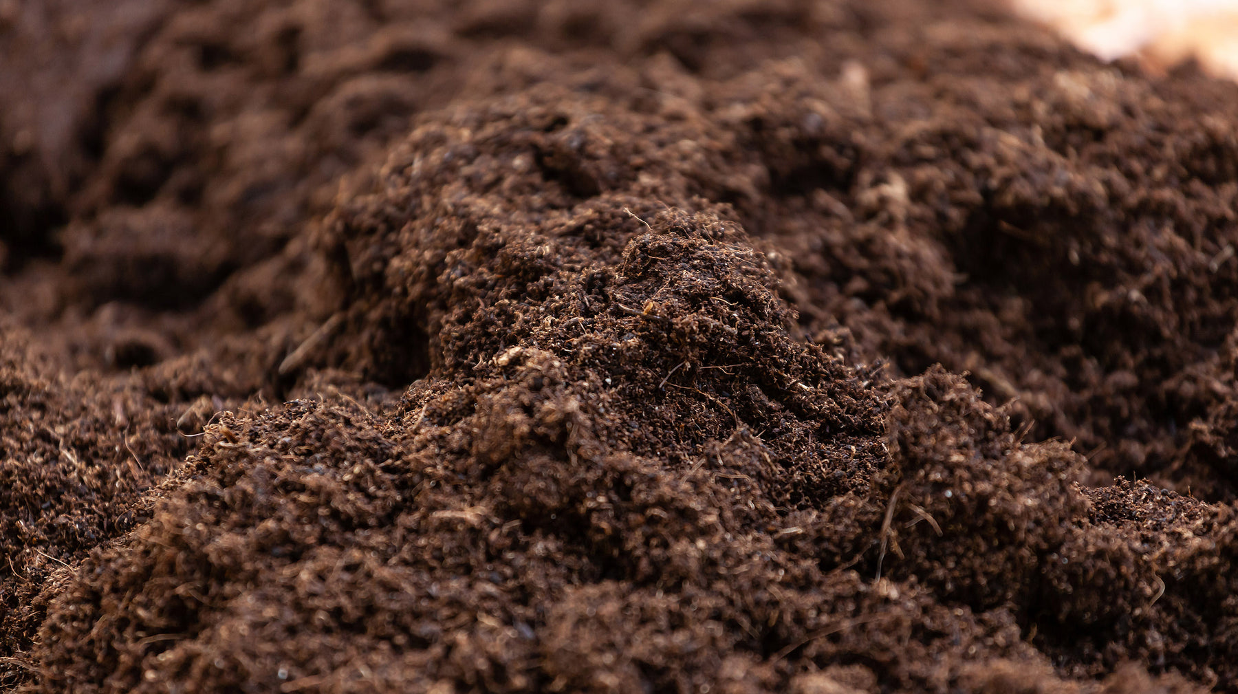 Topsoil Landscaping Supplies in Auckland: Your Local Garden Choice