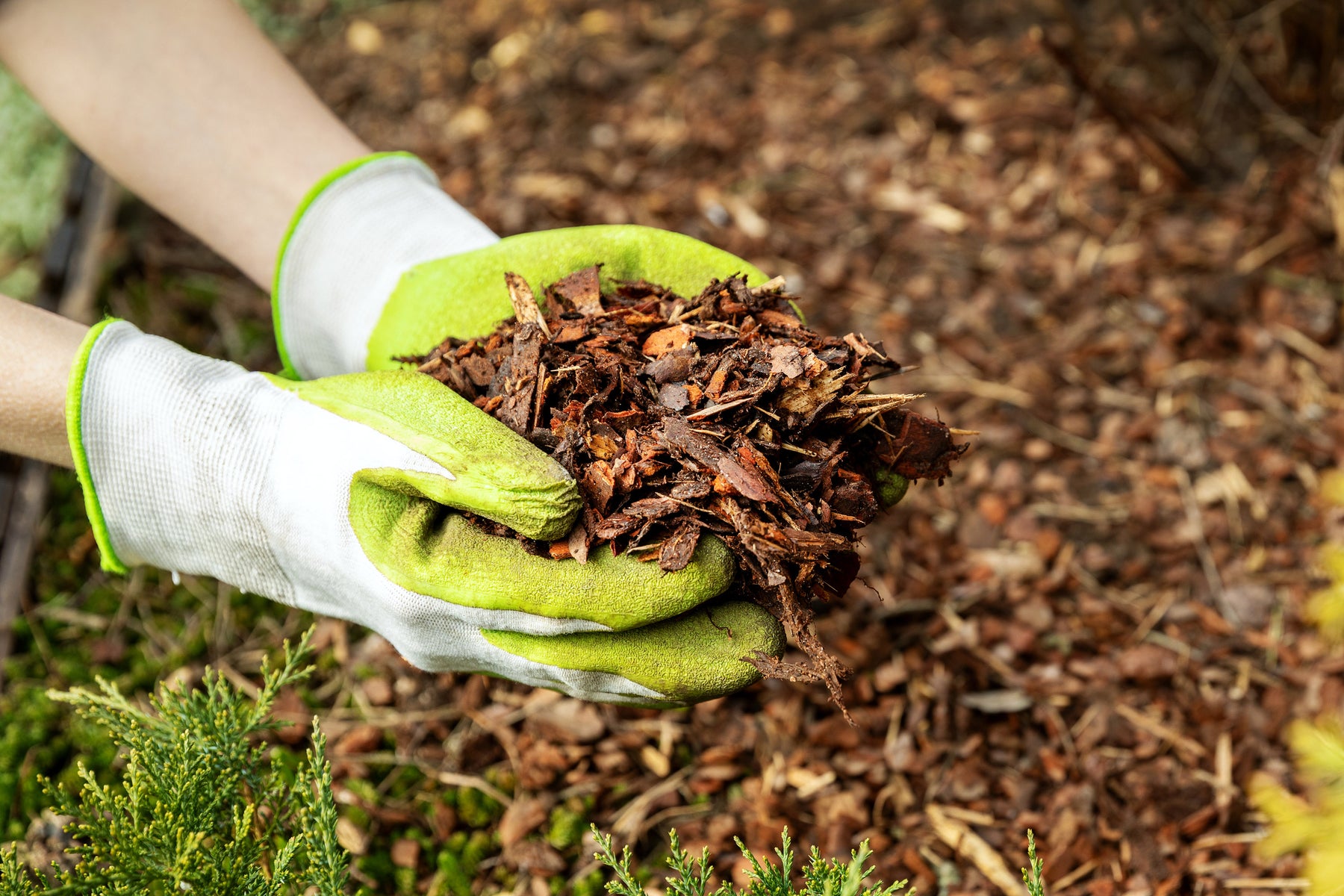 Enhancing Your Garden with Mulch: The Ultimate Guide