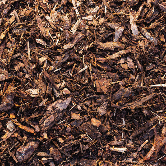 Harnessing the Power of Mulch: Protect Your Plants with Smart Insulation Against Extreme Temperatures
