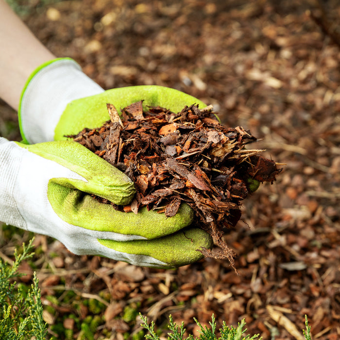 Enhancing Your Garden with Mulch: The Ultimate Guide