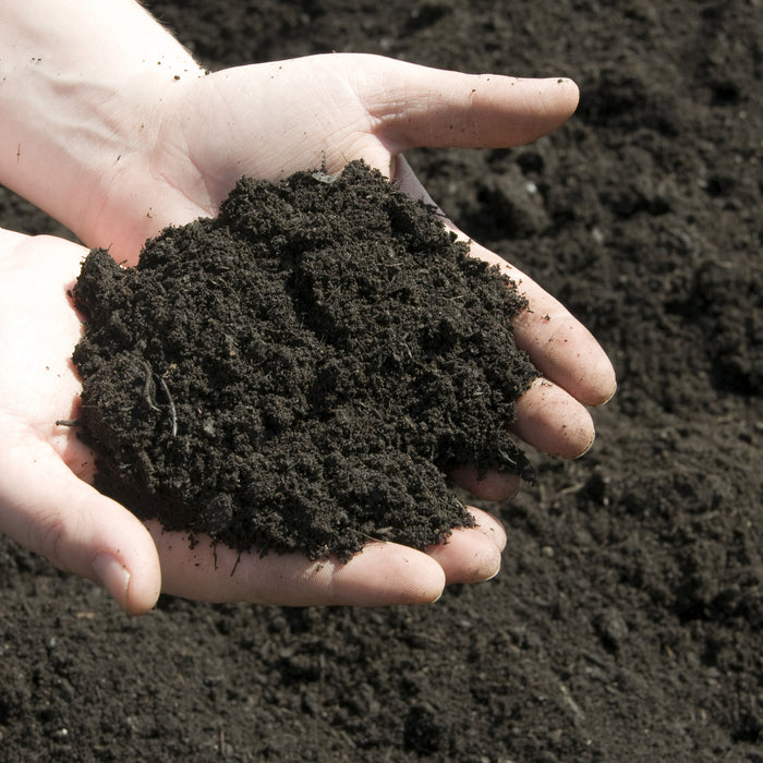 Seasonal Topsoil Insights: Elevating Plant Health in New Zealand Throughout the Year