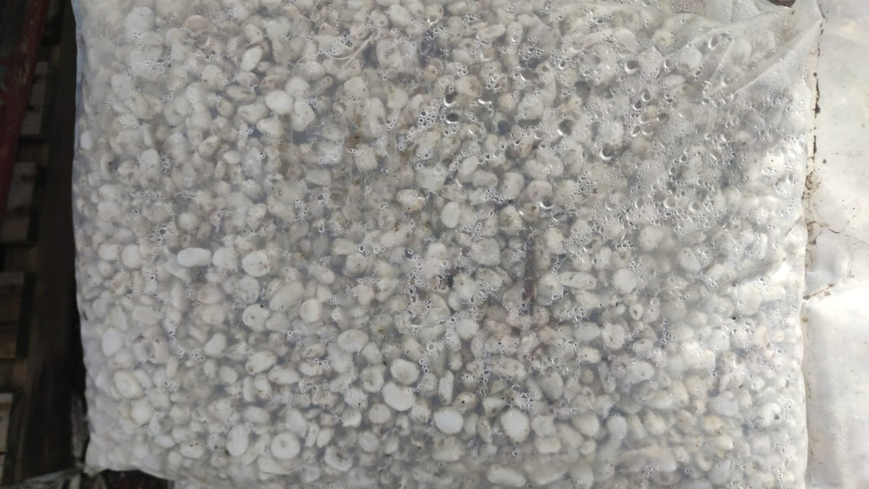 Limited 1 Bundle of 20 Bags of Alpstone White Pearl (2nd Grade)